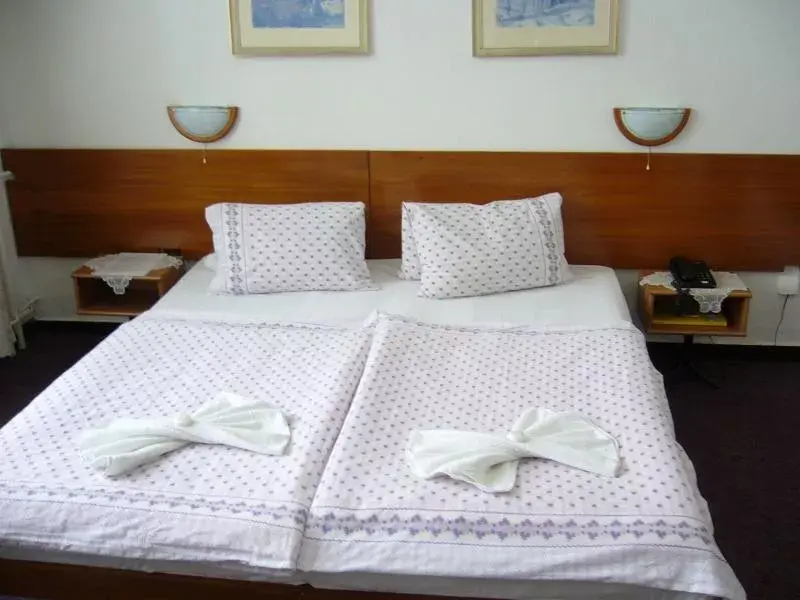 Hotel Piast